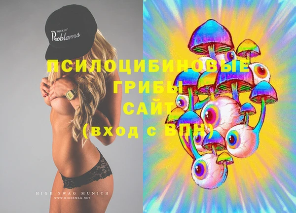 стафф Бородино
