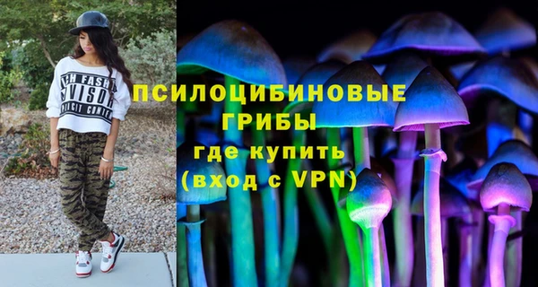 крисы Бугульма