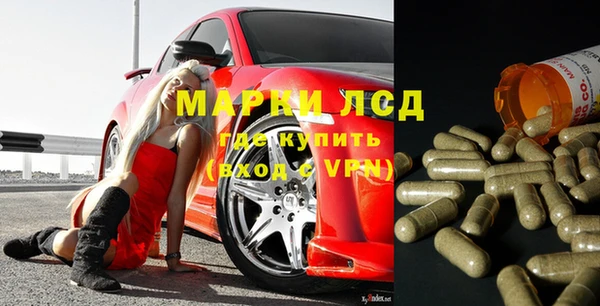 стафф Бородино