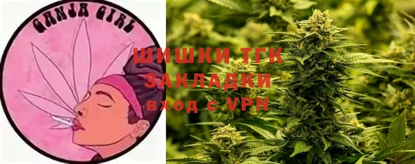 амф Бронницы