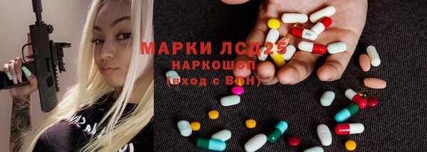 стафф Бородино