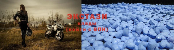 стафф Бородино
