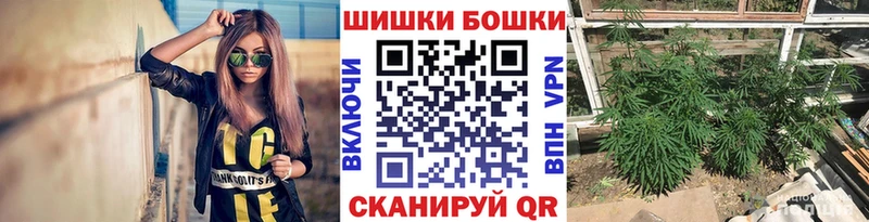 Марихуана SATIVA & INDICA  мориарти формула  Будённовск 